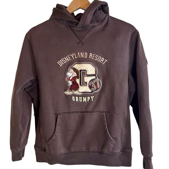 Disneyland Resort Grumpy 37‎ Hooded Heavy Sweatshirt Size Small Dark Brown - Picture 1 of 8